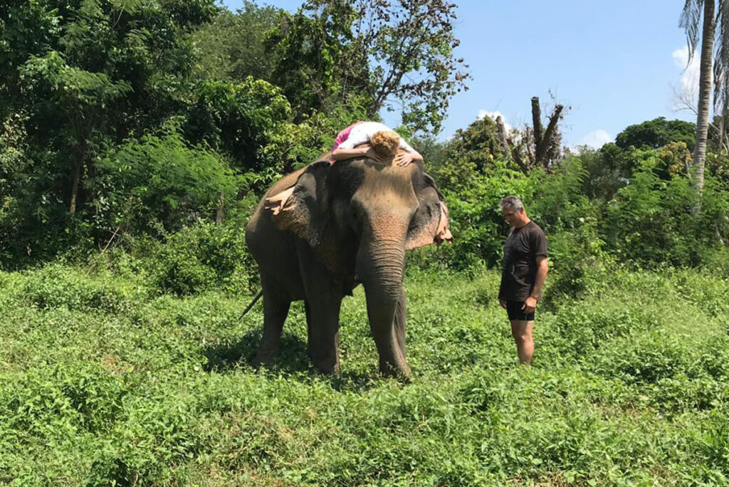 Éléphant coaching