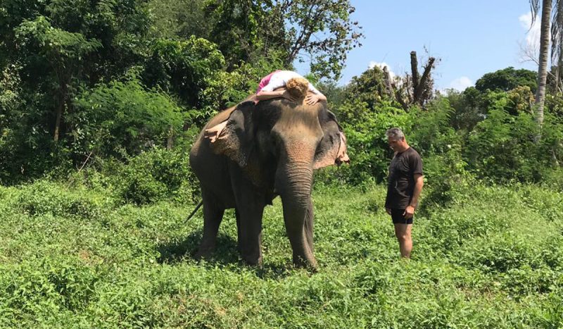 Éléphant coaching